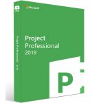 Project Professional 2019