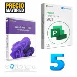 Bundle 5 Licencias Windows 11 Pro Workstation + Project Professional 2021